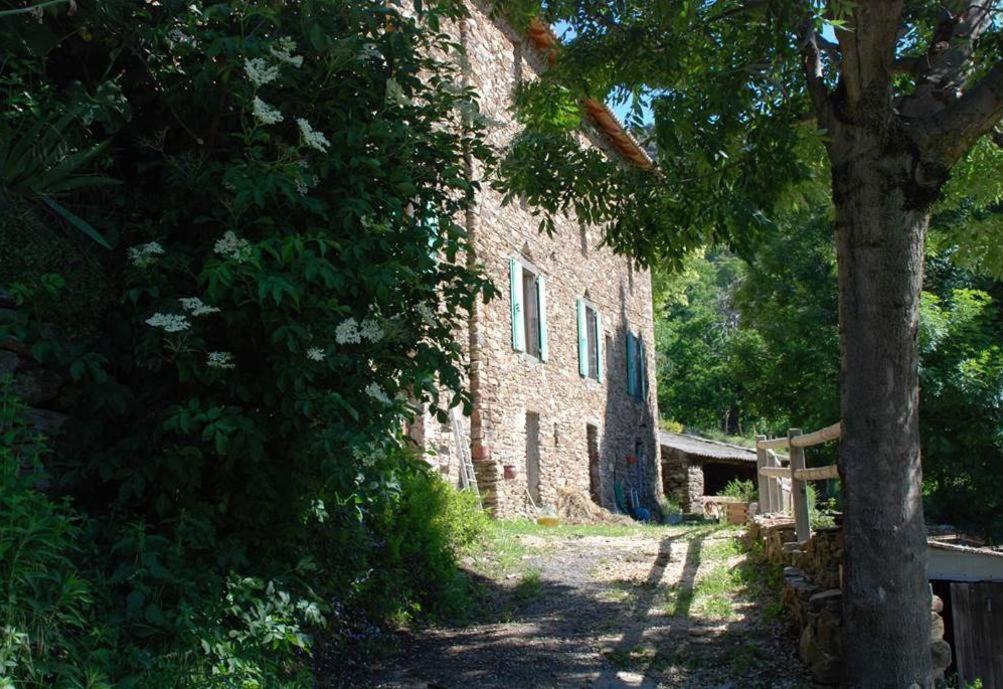 Gîte de Fontfouillouse Les Plantiers Exterior foto